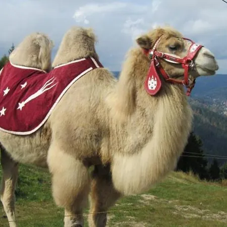 Farma Severak Lägenhetshotell 4*