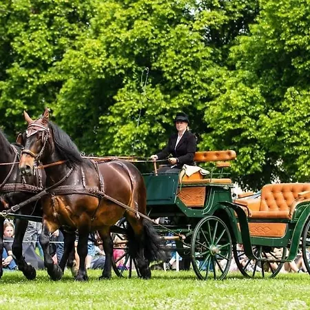 Farma Severák Apart-hotel Janov nad Nisou