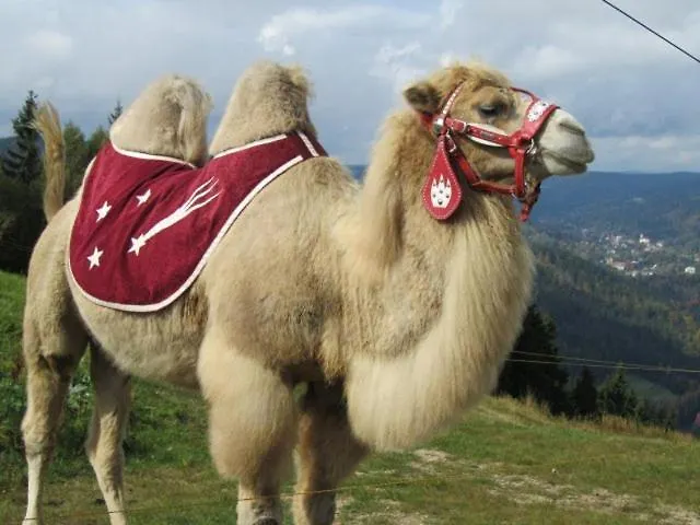 Farma Severak Lägenhetshotell 4*