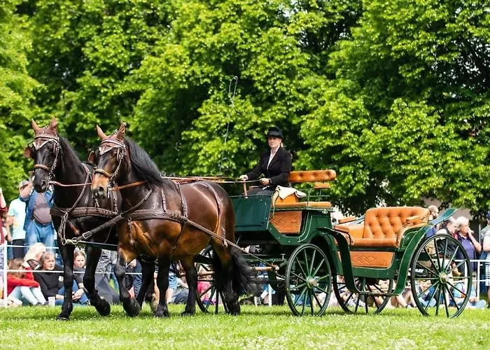 Farma Severak Lägenhetshotell Janov nad Nisou