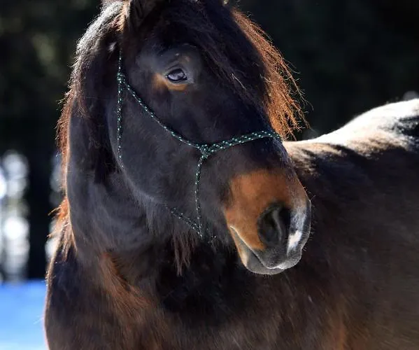 Aparthotel Farma Severák